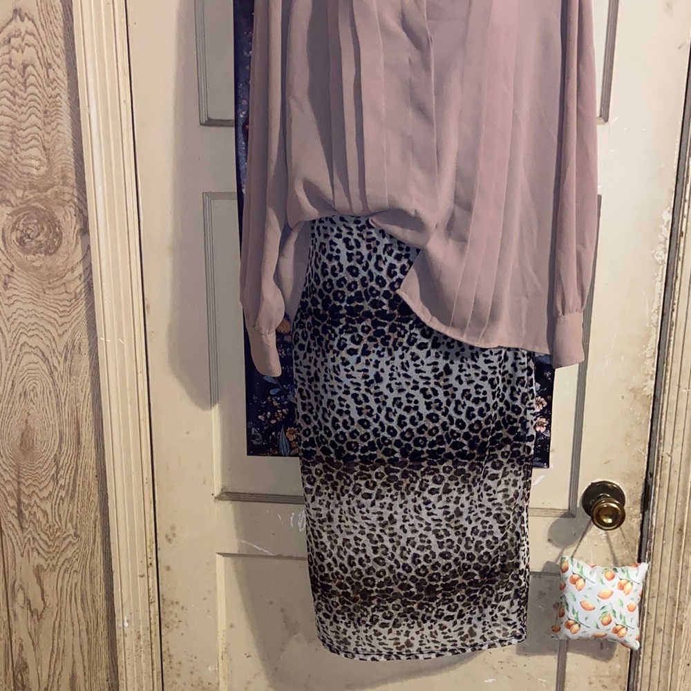HOT GAL SHEER/MINI SKIRT Leopard Print Fun & Sexy!!